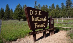 why-you-should-visit-red-canyon-dixie-national-forest